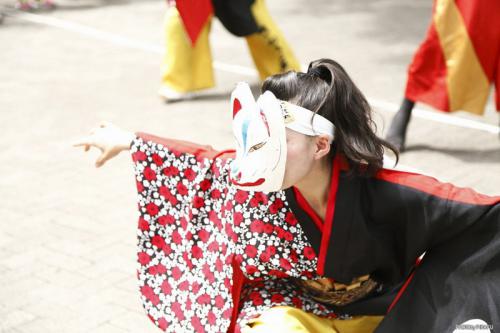pirafu 038